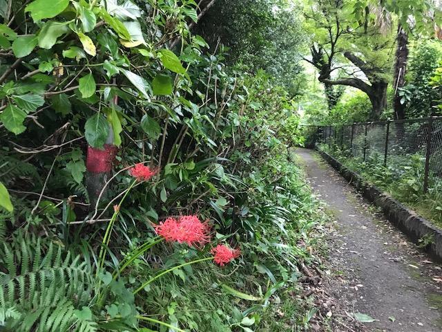 Umimoto Hotel Hakone Ngoại thất bức ảnh